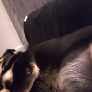 Meet your Posher, Tracy